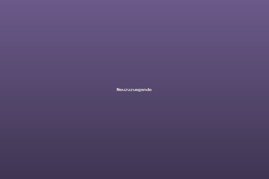Neuzuzuegende